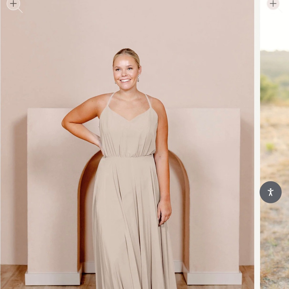 Revelry Kaia Chiffon Dress NWT —Champagne color